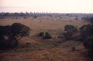 Bodenteam am Startplatz in der Steppe. Luftaufnahme aus Heiluftballon "Twiga", Ol Chorro Orogwa Group Ranch (Masai Mara), Kenia. / Ground team at the launch site in the savannah. Aerial view from hot-air balloon "Twiga", Ol Chorro Orogwa Group Ranch (Masai Mara), Kenya. / (c) Walter Mitch Podszuck (Bwana Mitch) - #980904-011