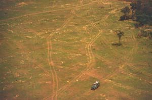 Ein Safari-Gelndewagen auf den Pisten der Masai Mara, Kenia. Dieses Luftbild dokumentiert die Umweltfeindlichkeit dieser wilden Pisten. / A safari 4WD on the tracks of Masai Mara, Kenya. This aerial view shows the ecologically harmfulness of these wild tracks. / (c) Walter Mitch Podszuck (Bwana Mitch) - #980907-049