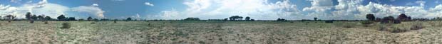 Rundblick auf eine trockene Schwemmebene des Piajio Channel bei Chief's Island. Moremi Game Reserve, Botsuana. / Panorama on a dry flood plain of Piajio Channel near Chief's Island. Moremi Game Reserve, Botswana. / (c) Walter Mitch Podszuck (Bwana Mitch) - #991227-130-139